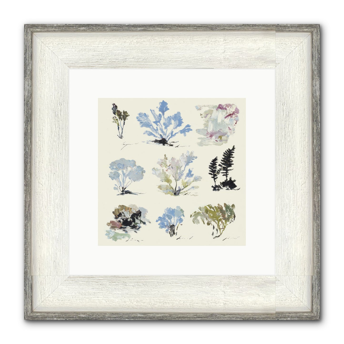 The Unfurling Chronicles No.1 Framed Print - Driftwood White 10x10