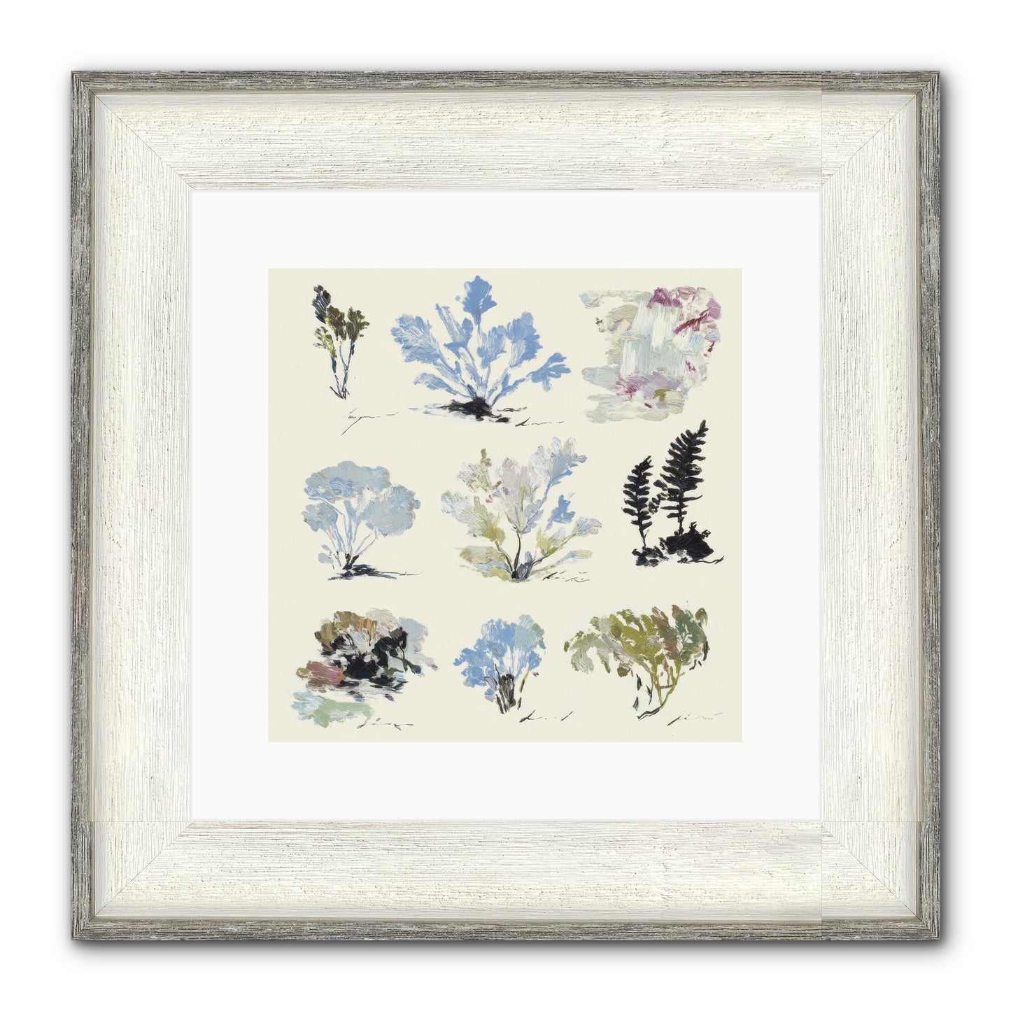 The Unfurling Chronicles No.1 Framed Print - Driftwood White 12x12