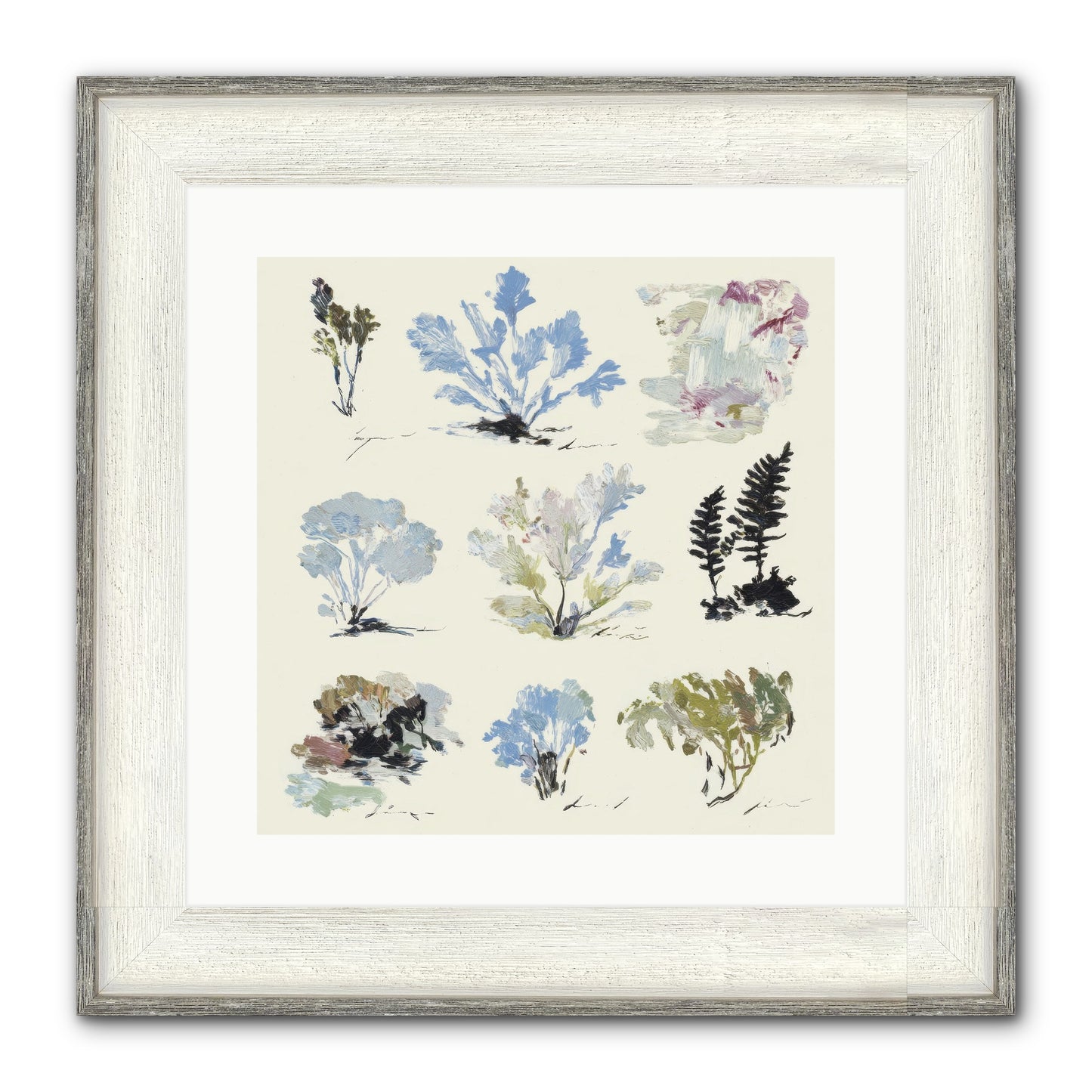 The Unfurling Chronicles No.1 Framed Print - Driftwood White 16x16