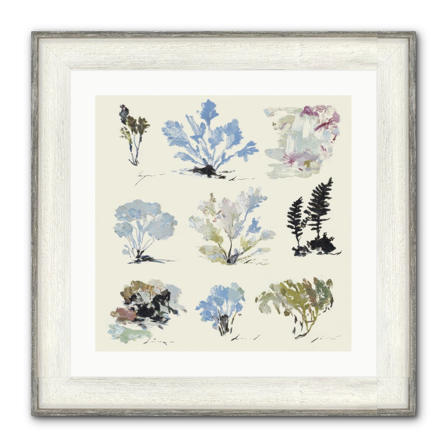 The Unfurling Chronicles No.1 Framed Print - Driftwood White 20x20