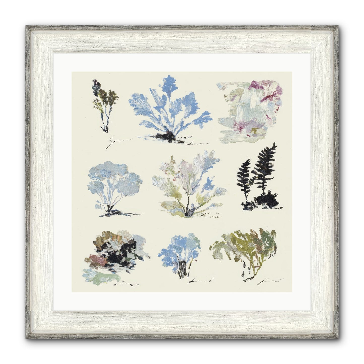 The Unfurling Chronicles No.1 Framed Print - Driftwood White 24x24