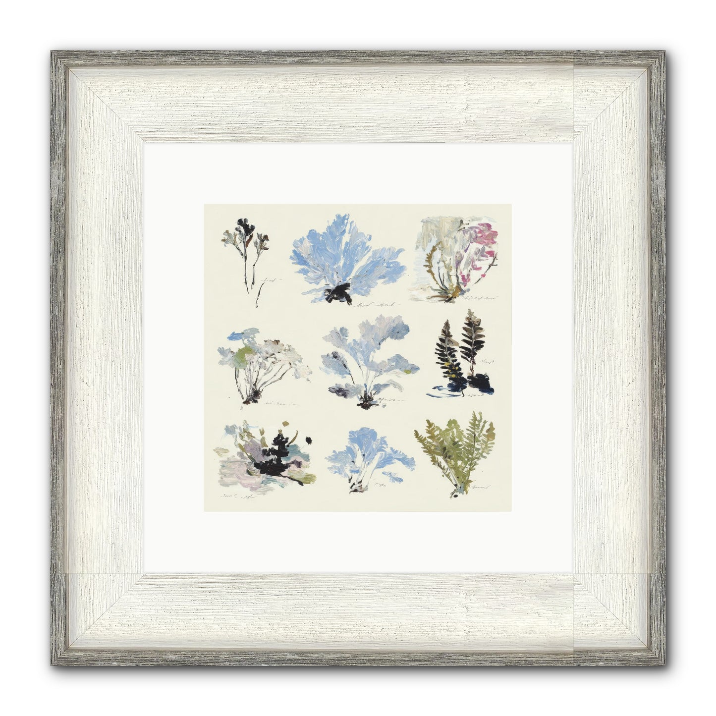 The Unfurling Chronicles No.2 Framed Print - Driftwood White 10x10