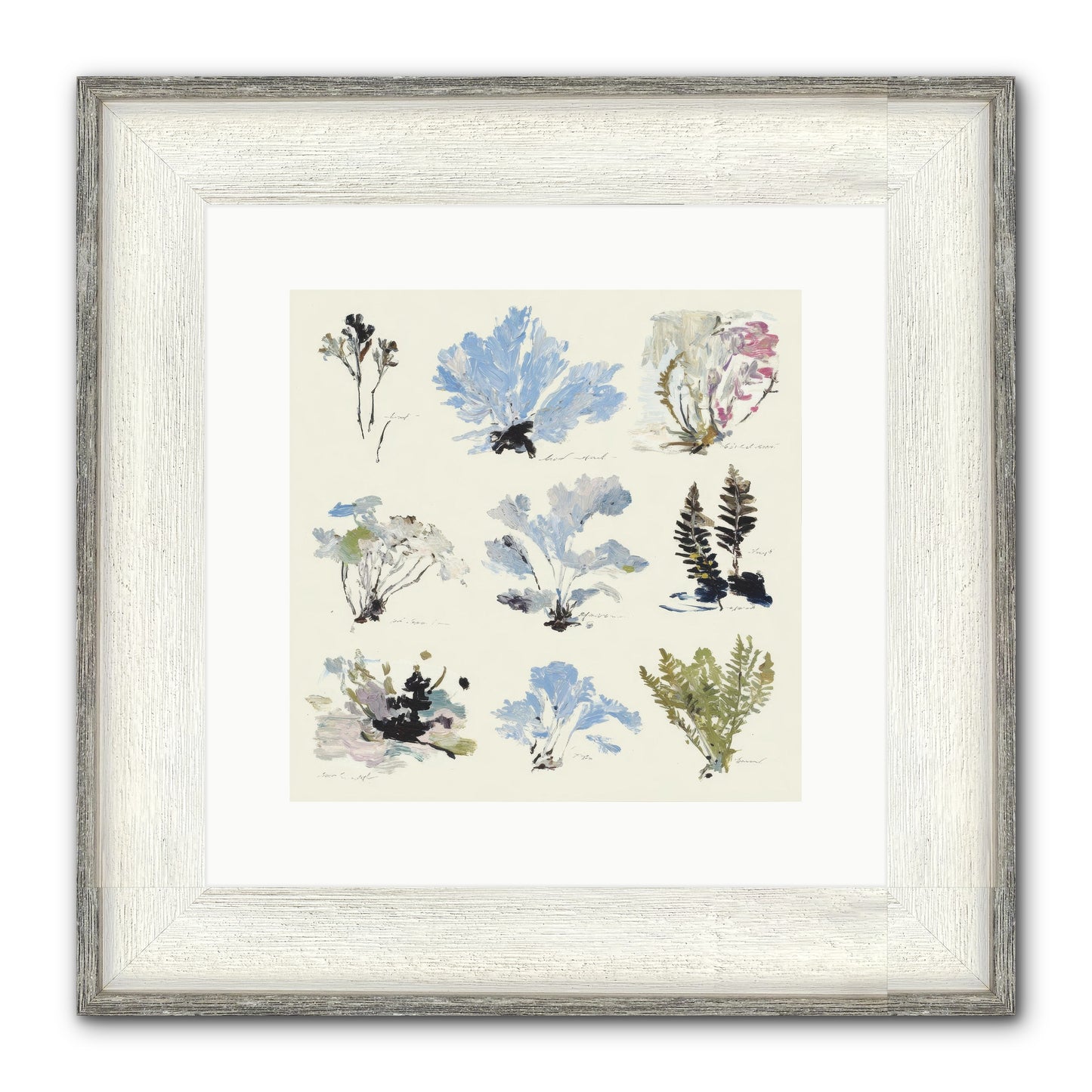 The Unfurling Chronicles No.2 Framed Print - Driftwood White 12x12