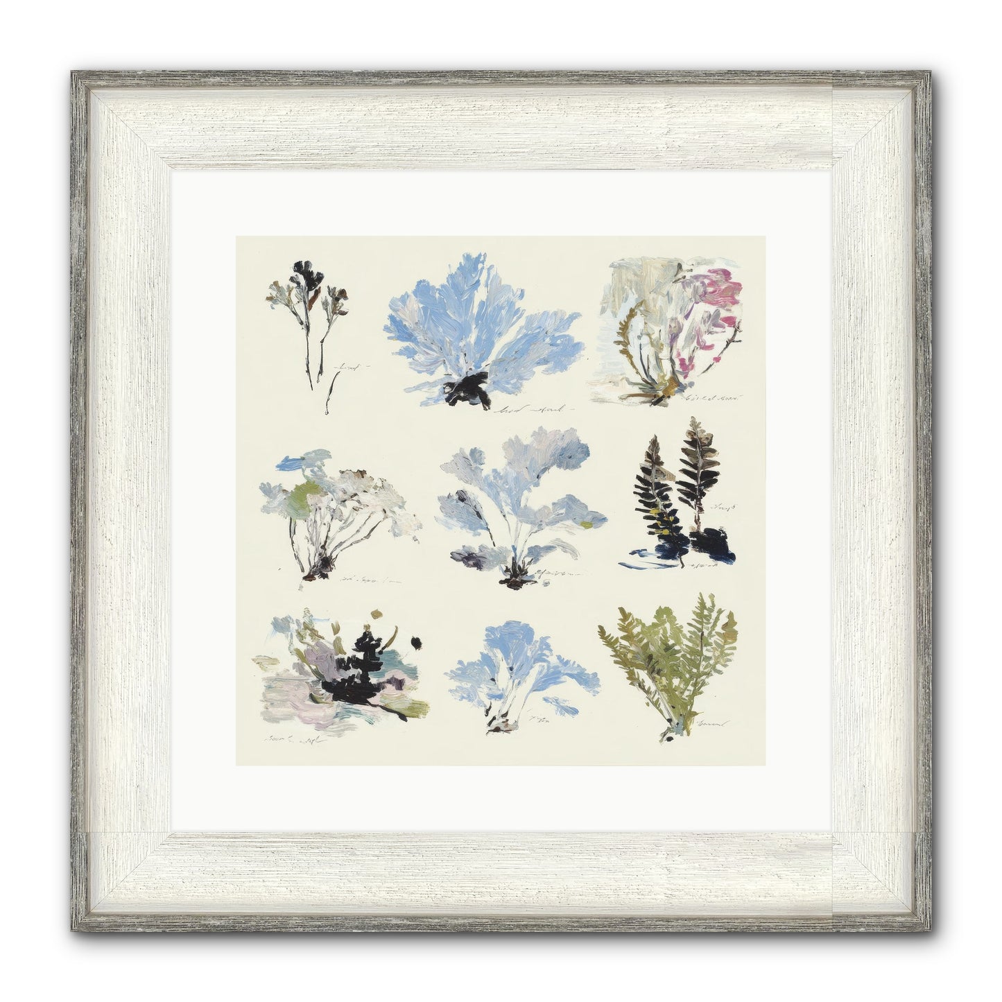 The Unfurling Chronicles No.2 Framed Print - Driftwood White 16x16