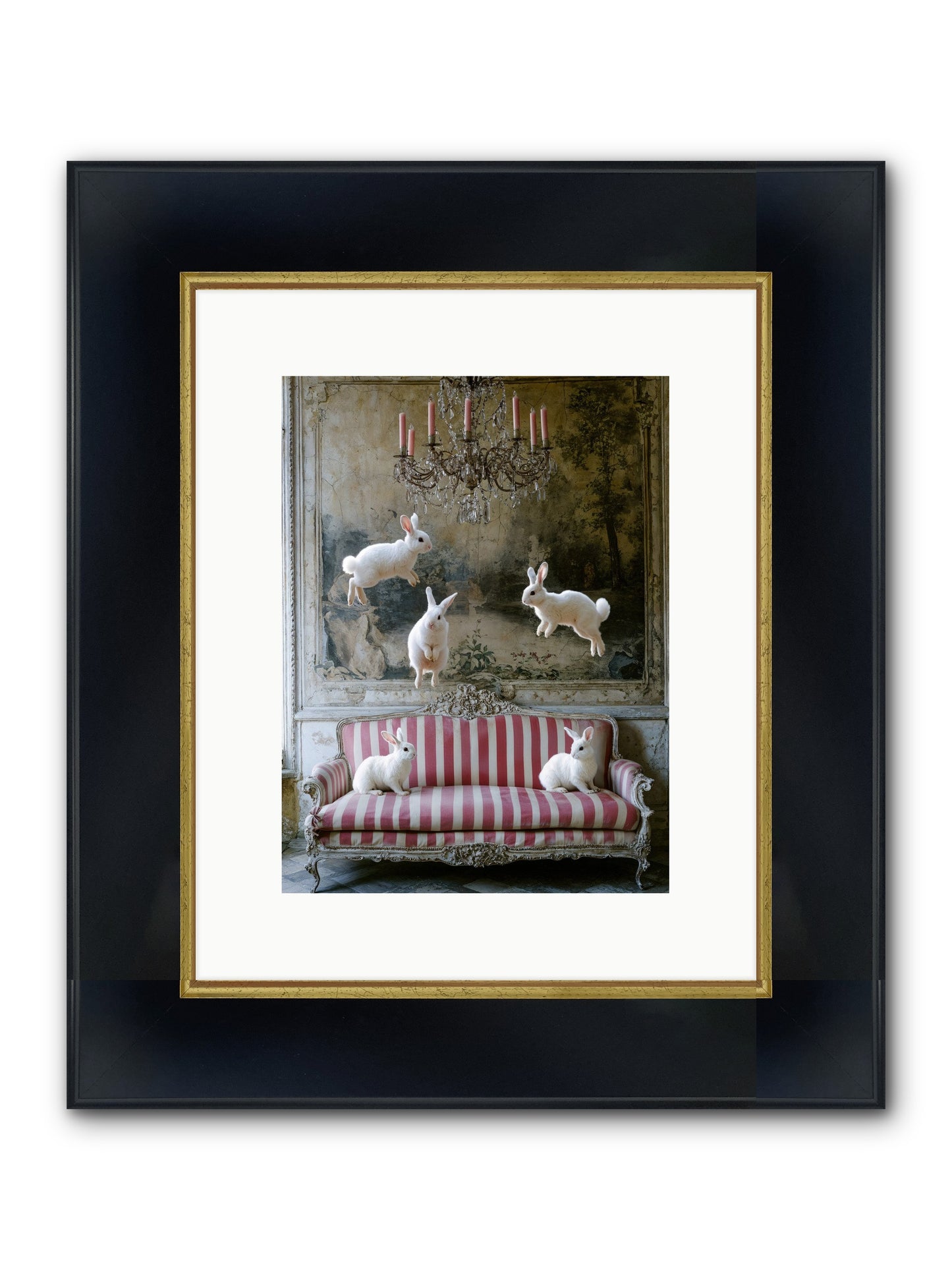 The Velvet Revolution Framed Print - Wide Black w/Gold 9x12