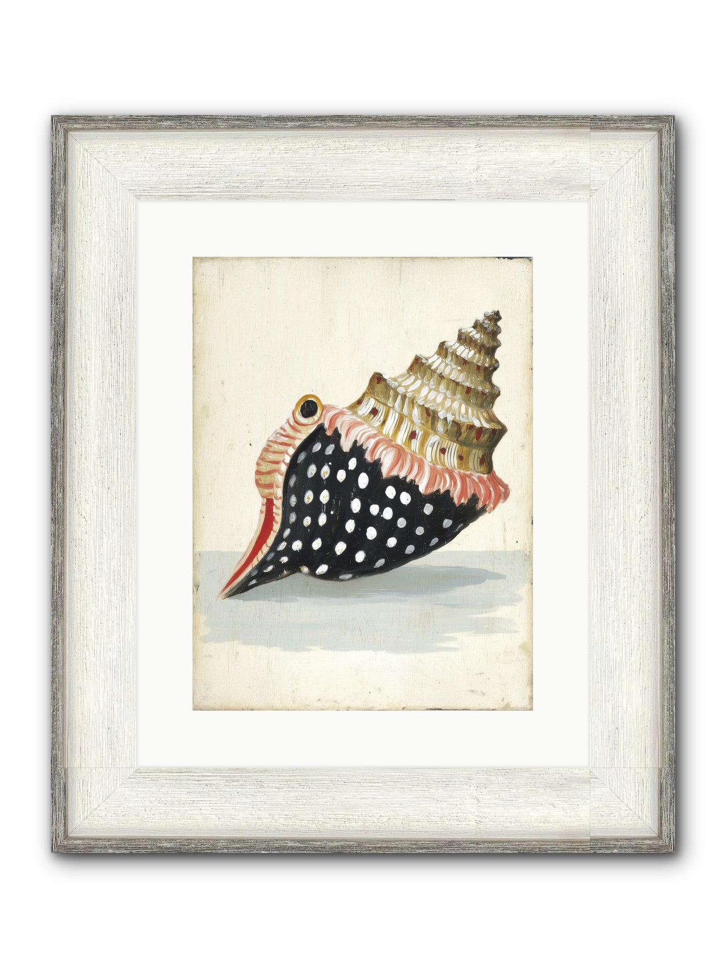 Time Traveler Framed Print - Driftwood White 12x16