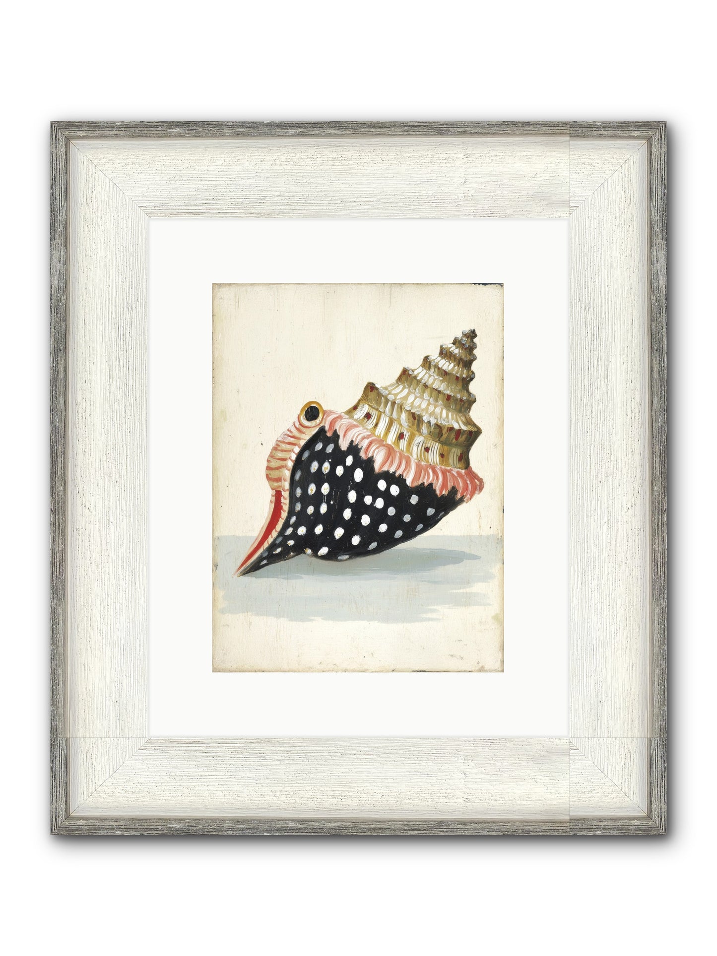 Time Traveler Framed Print - Driftwood White 9x12