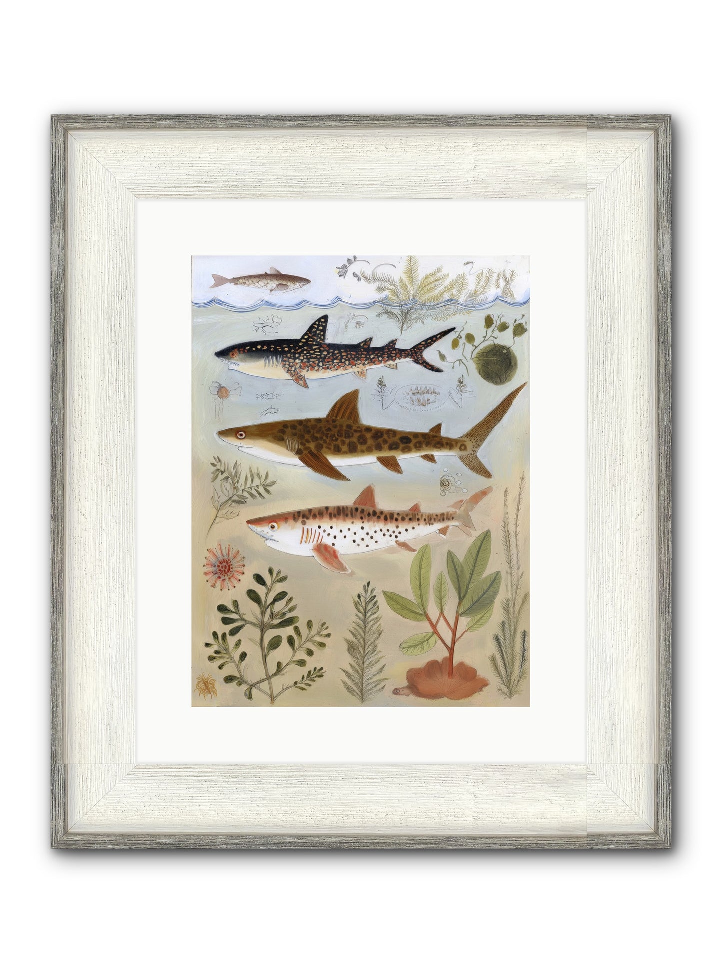 Velvet Depths Framed Print - Driftwood White 12x16