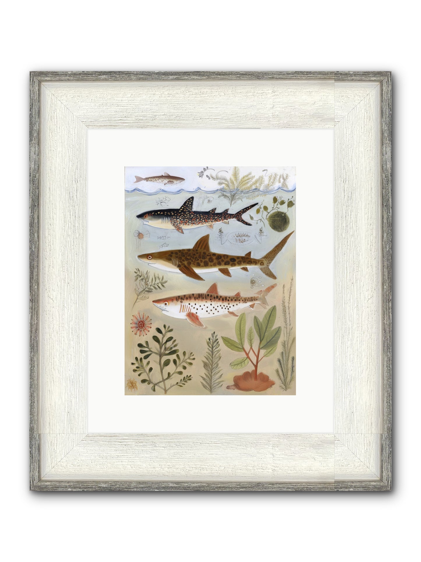 Velvet Depths Framed Print - Driftwood White 9x12