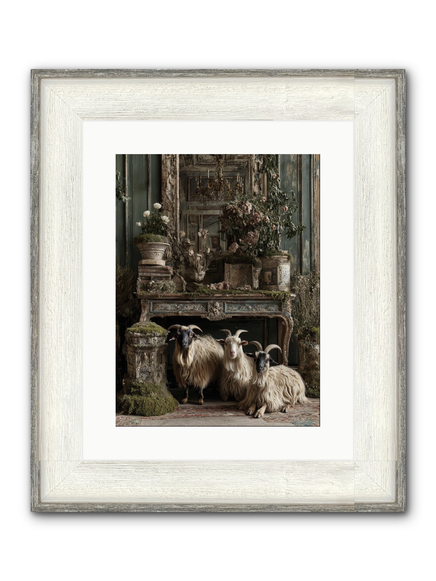 Wild Grace Reigning Framed Print - Driftwood White 12x16