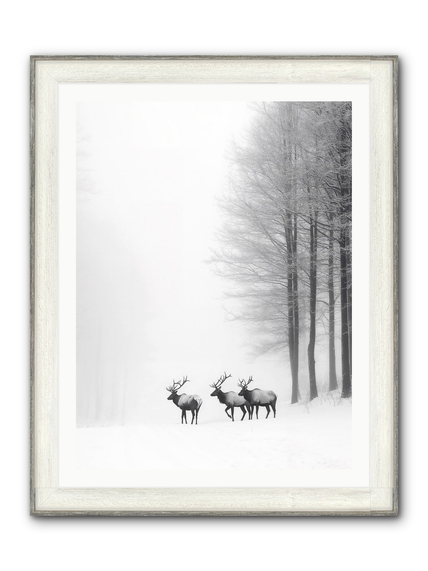 Winter's Grace Framed Print - Driftwood White 30x40
