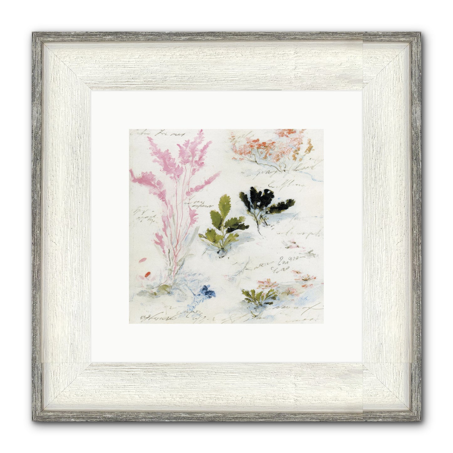 Woodland Memoir No.2 Framed Print - Driftwood White 10x10