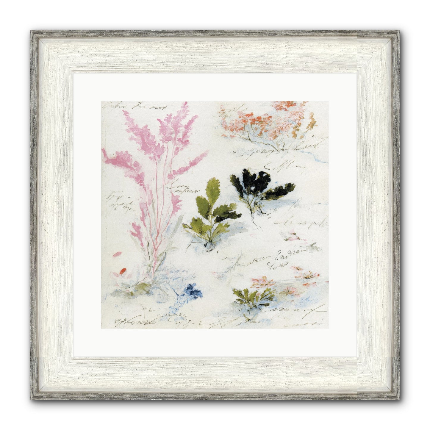Woodland Memoir No.2 Framed Print - Driftwood White 16x16