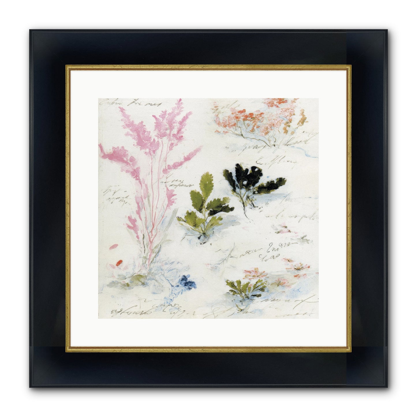Woodland Memoir No.2 Framed Print - Wide Black w/Gold 16x16