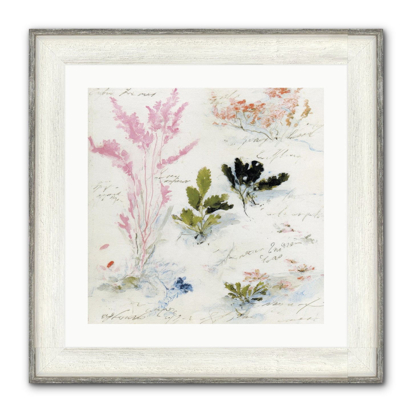 Woodland Memoir No.2 Framed Print - Driftwood White 20x20