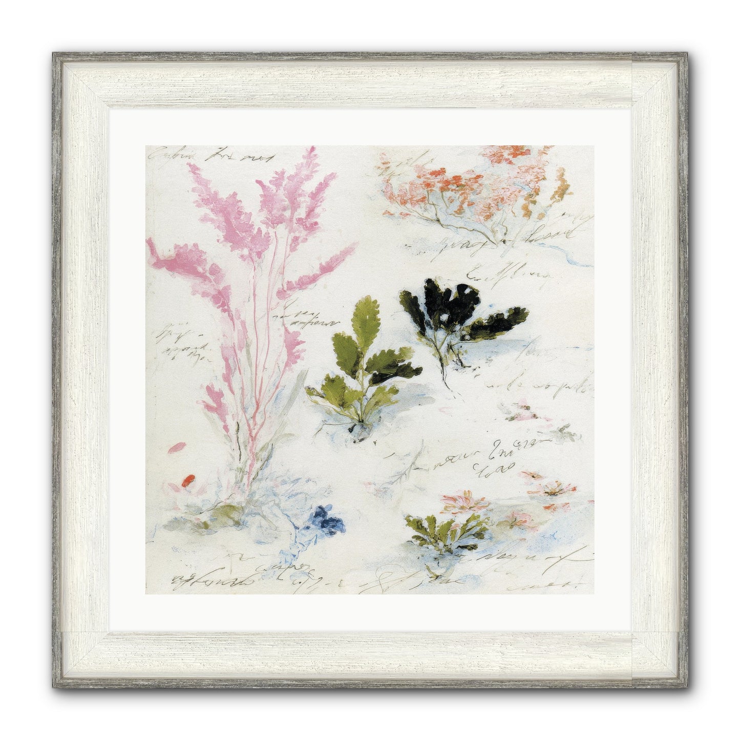 Woodland Memoir No.2 Framed Print - Driftwood White 24x24