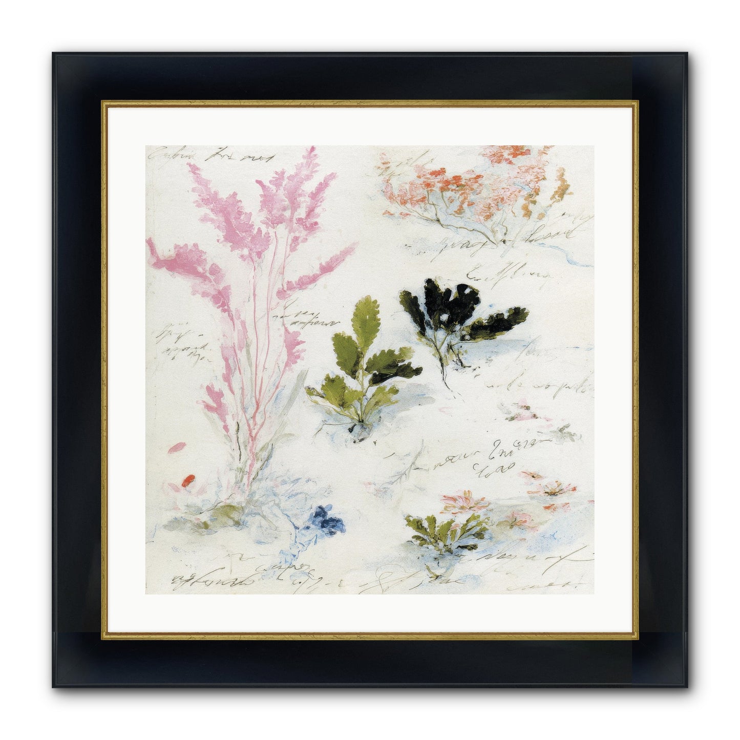 Woodland Memoir No.2 Framed Print - Wide Black w/Gold 24x24
