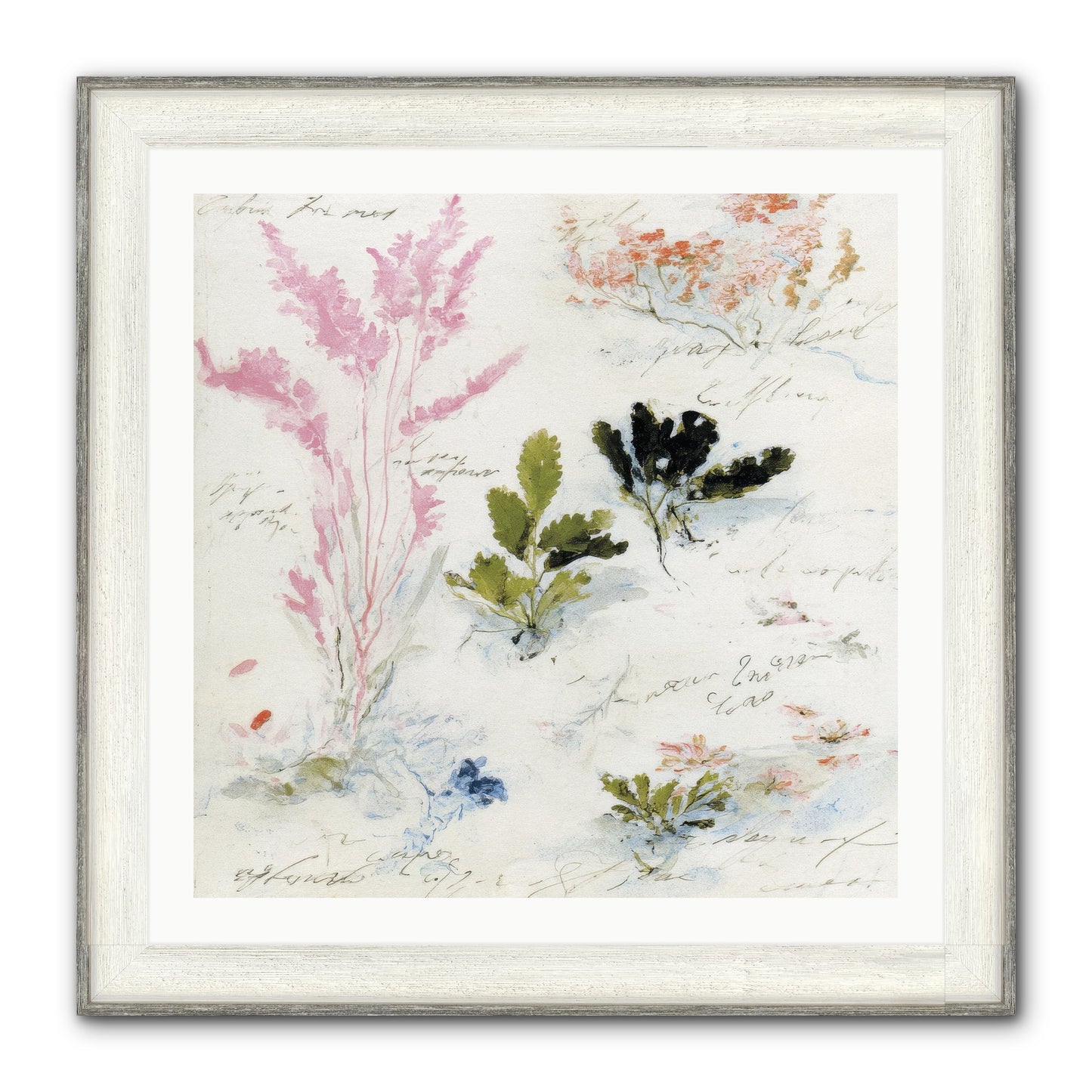 Woodland Memoir No.2 Framed Print - Driftwood White 30x30